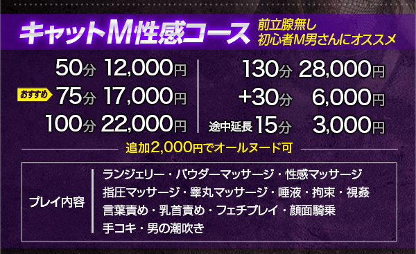 キャットM性感コース