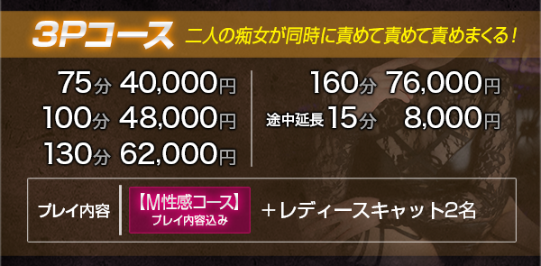 3Pコース(痴女乱入可能)